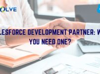 Salesforce_Development_Partner